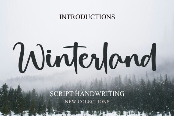Winterland: A Bold Script for Modern Design